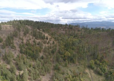 DJI_0050