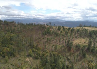 DJI_0051